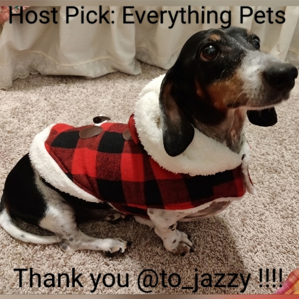 🎉3X Host Pick🎉 EUC Buffalo plaid dog coat